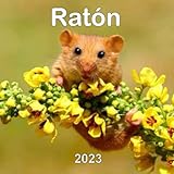  Ratón calendario 2023: regalo divertido de la broma de la mordaza del amante de los animales para los amantes del ratón, mujeres, hombres, hombres, ... amantes, cumpleaños, White Elephant Party,