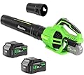Leaf Blower Cordless with 2 x 4.0Ah Battery and Charger, 580CFM 160MPH Electric Blower with 2 Speeds, 20V Handheld Leaf Cleaner for Lawn Care, Blowing Leaves, Dust, Snow, Gravel for Patio, Yard, Green