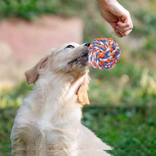 GASAPET Hundeseilspielzeug für große/mittelgroße Hunde, nahezu unzerstörbares Hundespielzeug-Set für Aggressive Kauer, strapazierfähiges Kauspielzeug aus Baumwollseil zum Zahnen, Zerrspielzeug, 5PCS
