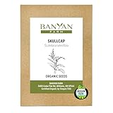 Banyan Botanicals Organic Skullcap Seeds – Skutellaria Lateriflora – Soothing Herb That is Quick-Growing and Low-Maintenance Herb – 50 Count – Open Pollinated Non-GMO Easy-to-Grow