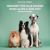 Omega Pro Gelenköl für Hunde 500ml – Lachsöl Mix mit Leinöl, Hanföl & Borretschöl – Omega 3 & 6 Fischöl für Gelenkstoffwechsel bei Arthrose – für Haut & Fell – Made in Germany