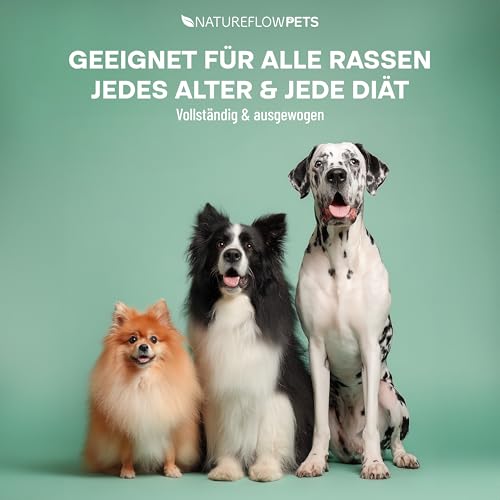 Omega Pro Gelenköl Mix TESTSIEGER - Besser als reines Lachsöl Hund für Gelenkstoffwechsel bei Arthrose - Ideales Omega 3/6 Profil aus Fischöl (Lachsöl für Hunde) mit Leinöl, Hanföl, Borretschöl
