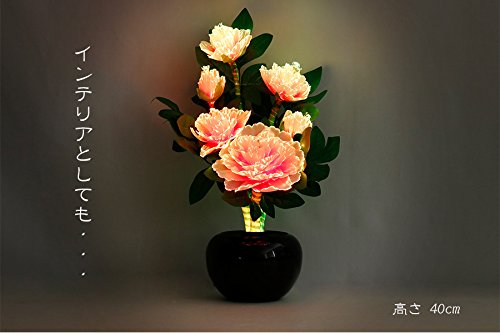 Amazon｜やまこう グランドルミナス 六花ボタン 大輪の牡丹 LED お盆 