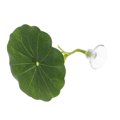 Abaodam x^plH@tnbN _炩Kȋxexbh O\Ő|ȒP ƉBƂ lpAȐ