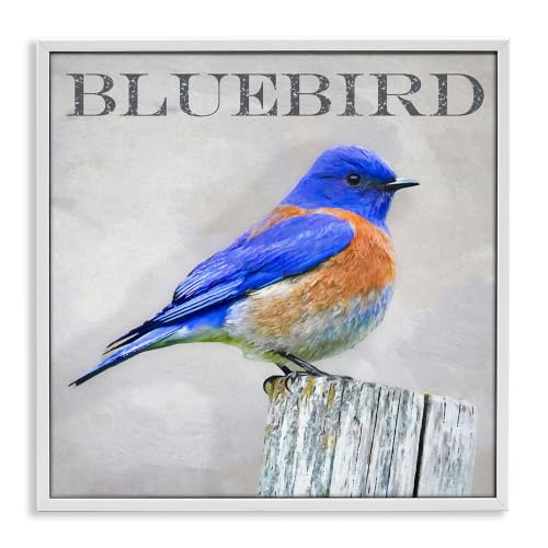 Stupell Industries Vivid Bluebird Standing Birch Tree Rustic Text, Design by Alpenglow Workshop