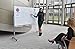Offex Mobile Magnetic Large Whiteboard on Wheels, Free Standing Double-Sided Dry Erase White Board for Teachers, Students, Children, Classroom, Office - 72