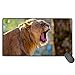 Produktbild N / A Lion Jaws Fangs Gaming Mouse 40X75Cm Pad Desk Office Mouse Mat Large Size Comfortable Mousepad with Personalized Design for Laptop, Computer and PC