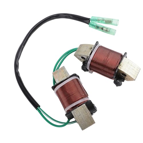 Bobine d'alternateur 3AA060230 en fer pour moteur hors-bord 4 temps 9