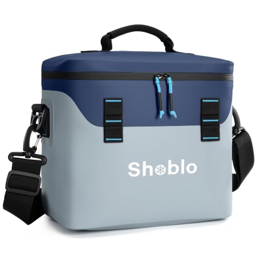 Soft-Sided Cooler Bag, 9 Can Insulated Leakproof Portable Cooler Bag, Waterproof Lunch Cooler with Shoulder Strap, Small Cooler Bag for Beach, Camping, Picnic, Travel, Work（Gray & Blue