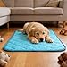 CHVOULTO Dog Cooling Mat for Summer: Outdoor Dog Cooling Pad, Washable Cooling Mat for Dogs, Cooling Dog Bed for Kennel, Waterproof Pet Cooling Mat, Blue Pet Blanket Small Dogs