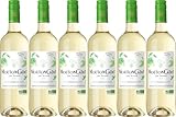 QUALITÄTSSTUFE: AOP Baron Philippe de Rothschild Mouton Cadet Sauvignon Blanc Bordeaux AOP 2023 Trocken Bio (6 x 0.75 l)