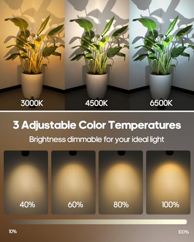 Spotlights Indoor with Remote, 3000mAh Rechargeable Battery Plant Spotlight Indoor, Wireless Uplighting with 3 Colors &  - Additional View