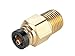 Parker 68PTC-3-4 Transmission Fitting, Push-to-Connect, Tube to Pipe, Brass, Male Pipe Connector, 3/16" and 1/4"