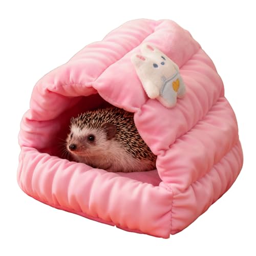 nX^[ nEX,g h~ Gb`g,nX^[P[W - ETM X ybg ~ tFbg ``p