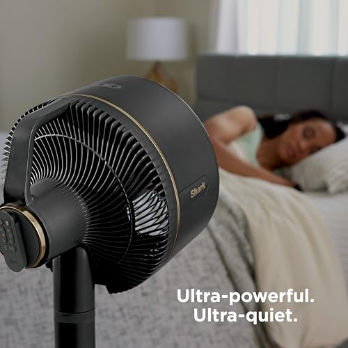 Shark FlexBreeze Corded & Cordless Fan