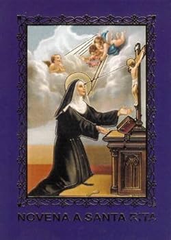 Paperback Novena a Santa Rita Book