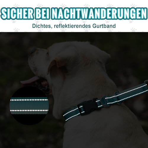 Arblina Martingale Halsband, Reflektierendes Zugstopp Halsband Hunde für Große Mittlere und Kleine Hunde, Nylon Hundehalsband Anti Zug, Anti-Pull Collar for Dogs, Türkis, M