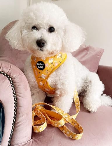Sunshine Daisy Dog Harness M, Yellow, medium - Image 2