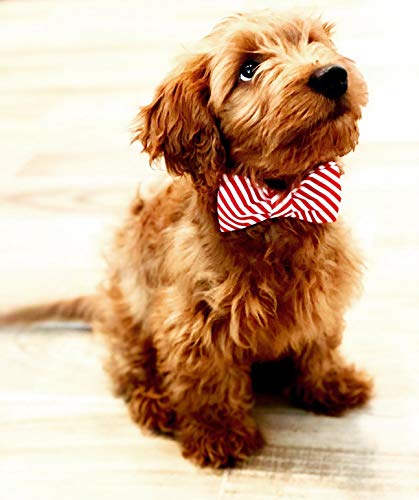 Lionet Paws Christmas Dog Collar With Bowtie Durable Adjustable Handmade Comfortable Bow Tie Dog Collar Cat Collar With Metal Buckle For Xl Dogs,Party,Festival,Holiday Style,Neck 16-26In #TOP2