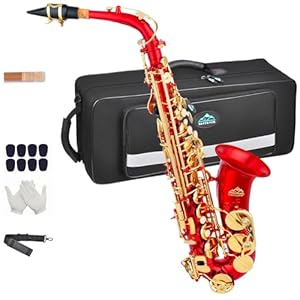 Eastrock E-Flat Altsaxophon Komplett-Set Rot