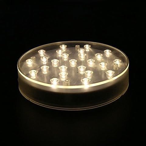 LACGO Acrylic 6'' Round LED Vase Base Plate Light, with 25 Bright Warm White LEDs, USB&Battery-powed, for Home, Display Stand Table Centerpiece Decor(Warm White)(Pack of 1) Cover
