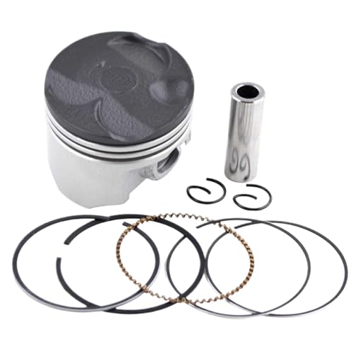 XF50Y XF5D XF50L �݊��I�[�g�o�C�s�X�g�������O�t���L�b�g�V�����_�[�{�A�T�C�Y STD �� +100 38 �~�����[�g�� 38.25 �~�����[�g�� 38.50 �~�����[�g�� 38.75 �~�����[�g�� 39 �~�����[�g��(Piston Kit 