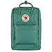 Fjallraven 23525-664 Kånken Laptop 17" Sports backpack Unisex Frost Green Size One Size