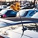 PRETYZOOM Car Antenna Topper Cute Squirrel Roof Decoration Doll Durable Resin Vehicle Exterior Ornament Easy Installation 3.34X2.75X1.37 Inch Car Roof Decoration
