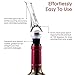 Vintorio Wine Aerator Pourer - Premium Aerating Pourer and Decanter Spout (Silver)