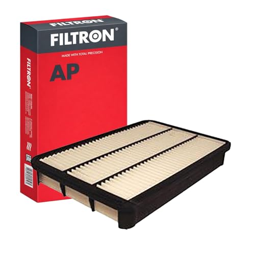 Filtron Filtre Ă air, AP109/2