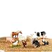 Animaux de la ferme