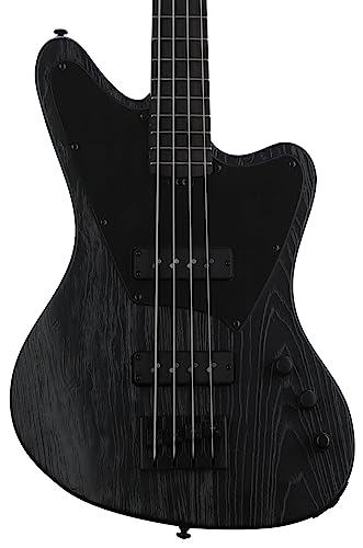 ESP LTD Orion-4 Signature Bass Guitar - Black Blast