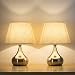 HAITRAL Small Bedside Table Lamps Set of 2 - Unique Elegant Bedside Desk Lamps with Silver Brushed Nickel Base，Modern Lamps for Living Room (Non-Touch Switch)