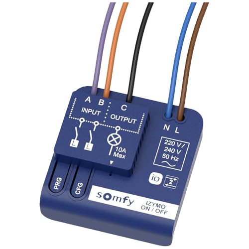 Somfy 1822649 - Micro receptor de iluminación IZYMO ON/ OFF , Tecnología io homecontrol , Conecta tu iluminación para control móvil , Compatible con TaHoma