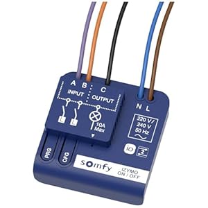 Somfy 1822649 IZYMO ON/OFF lichtont...