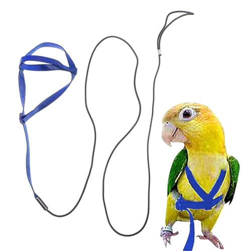 Adjustable Bird Harness and Leash Anti-Escape Durable Nylon Parrot Harness Flying Training Rope Parrot Leash for Small Medium Large Breed Parrots Fits Chest Under 20 Blue M