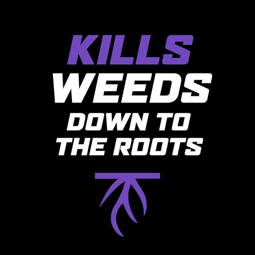 image for Ortho WeedClear Lawn Weed Killer Ready-to-Use1 with Comfort Wand (Sout