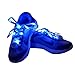 Flammi LED Nylon Shoelaces Light Up Shoe Laces with 3 Modes Disco Flash Lighting The Night for Party Hip-hop Dancing Cycling Hiking Skating Type C (Blue)