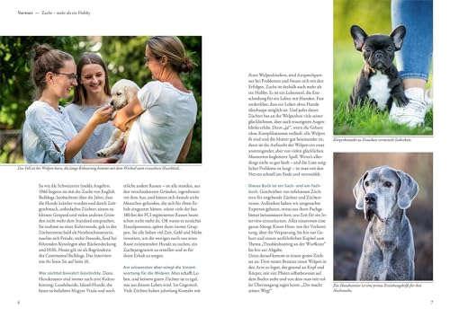 Das Zuchtbuch: So gelingt das Abenteuer Zucht (Praxiswissen Hund)
