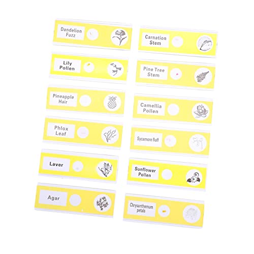 RUNROTOO 12pcs Glass Slide Microscope Slides for Kids Plastic Prepared Microscope Slides Plant Child Suite