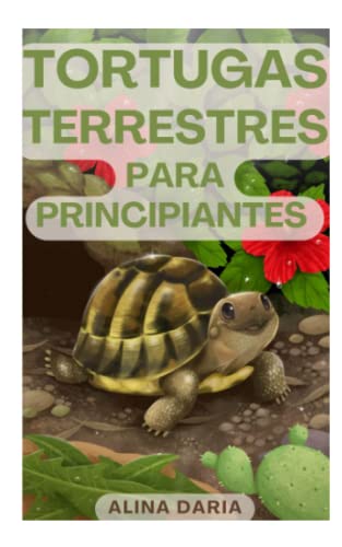 Tortugas terrestres para principiantes