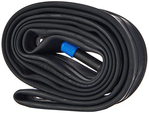 Raleigh TA450-3339 - Cámara de Aire para Bicicleta, Talla 20 x 1-3/8 Inch Cover