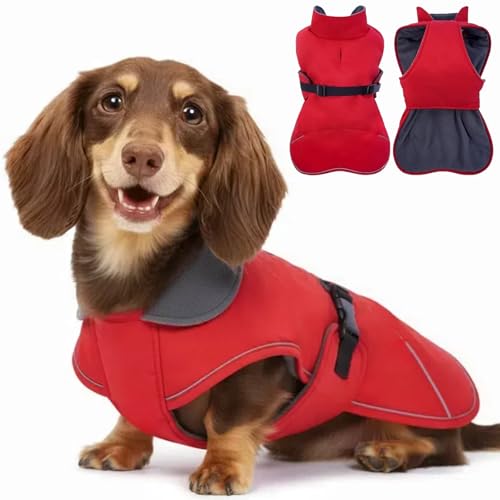 Waterproof & Windproof Dachshund Jackets with Adjustable Bands, Thick Weiner Vest Raincoat for Large Sausage Dog, Weenie Winter Puffer Coat, Outdoor Snowsuit for Dachshunds, Male Female Dog(Red, L)