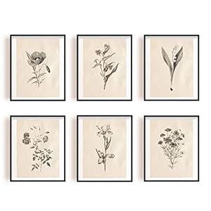 INFUNLY Wall Art Botanical Plant Prints Vintage Flower Boho Minimaliste Floral Oeuvre Décor pour Chambre, Salon, Salle de Bains, Maison Ou Bureau Murs Étude Botanique Imprime Photos