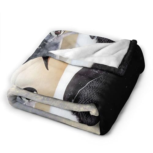 penguin Cute Gifts for Women and Kids Girls: Ice Antarctic Animals Decor Soft Cozy Plush Throw Blankets 150x200cm(60x80 Inch)