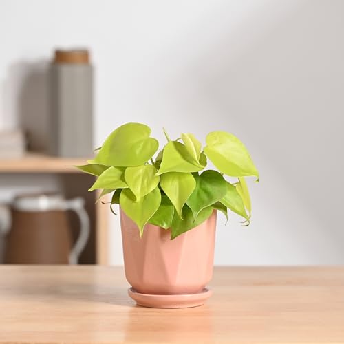 Image of UGAOO Diamond Ceramic Flower Pot for Indoor Plants, 4 Inch - Light Pink