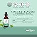 MARYRUTH'S Organics Ginkgo Leaf Liquid Drops | Herbal Supplement | Nootropic | Circulatory System & Nervous System Health | USDA Organic | Non-GMO | Vegan | 60 Servings