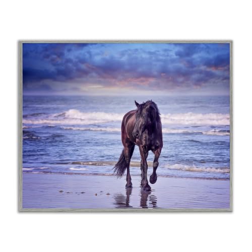 'Wild Horse on Beach'| Framed Giclee Art
