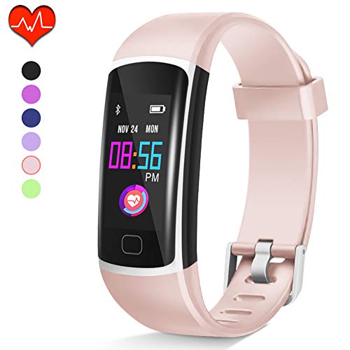 everlast gympal2 fitness tracker review