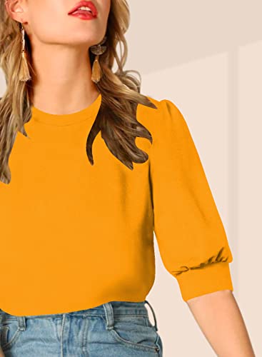 Image of Dream Beauty Fashion Women's Puff Sleeve Round High Neck Top Balloon Bishop Sleeve Elegant Casual Tee (23 inch Inches)- (Top Sofia P)